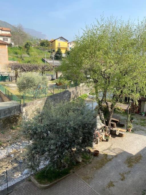 Apartament Casa Mirta Mandello del Lario Zewnętrze zdjęcie
